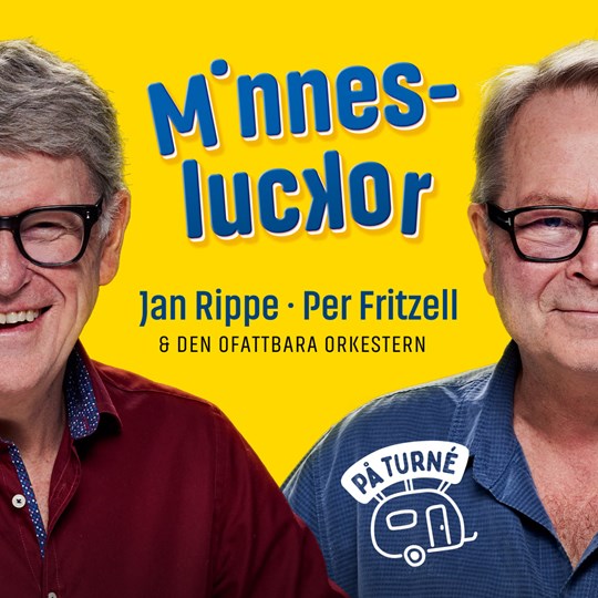 Minnesluckor