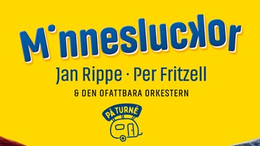 Minnesluckor