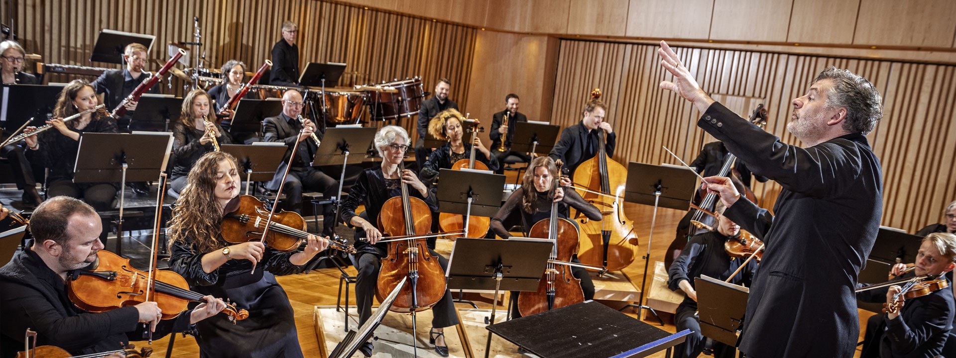Affischbild för Jönköpings Sinfonietta. En orkester leds av en gestikulerande dirigent.
